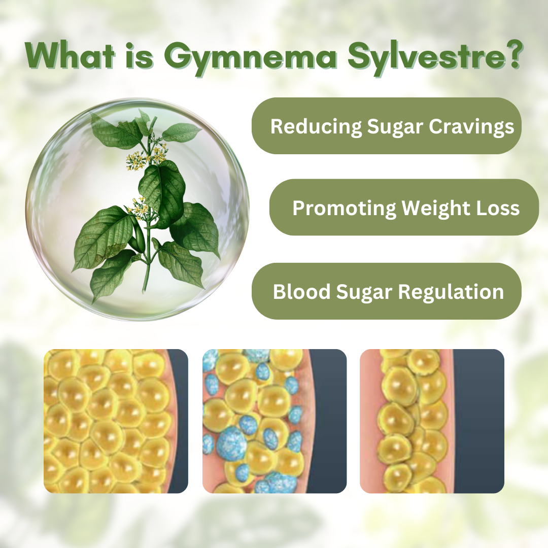 Sugar Destroyer Gymnema SlimmingCream 2